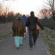 Wandeling naar het licht